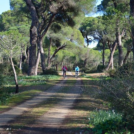Sanlucarsun Apartamento Frente Al Mar Sanlúcar de Barrameda Exteriör bild