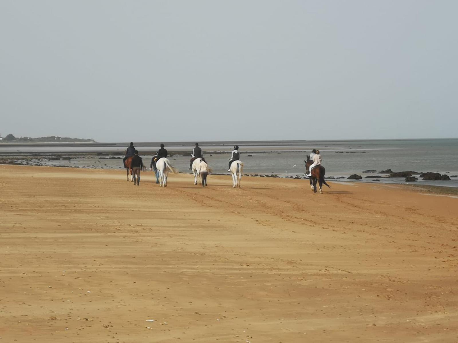 Sanlucarsun Apartamento Frente Al Mar Sanlúcar de Barrameda Exteriör bild
