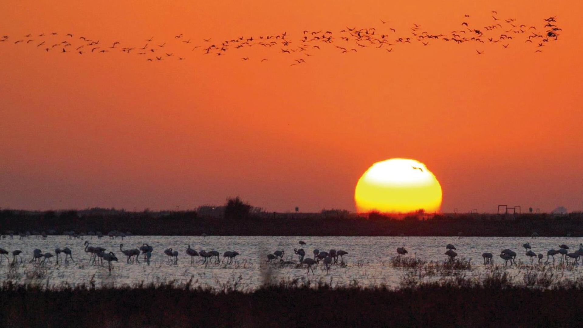 Sanlucarsun Apartamento Frente Al Mar Sanlúcar de Barrameda Exteriör bild